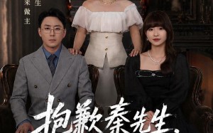 抱歉秦先生，孩子不是你的（53集）短剧夸克网盘在线免费看全集