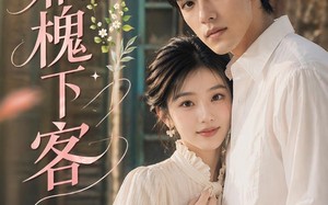 风栖槐下客（69集）短剧夸克网盘免费看全集
