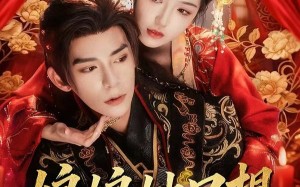 娘娘她只想和暴君贴贴（80集）短剧夸克网盘高清在线看