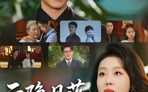 云隐月落再相逢（81集）短剧夸克网盘在线观看超清版