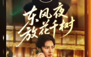 东风夜放花千树（91集）短剧夸克网盘高清在线畅快看