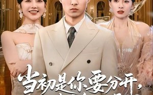 当初是你要分开，看到遗产怎么哭了？（70集）短剧夸克网盘在线观看无广告