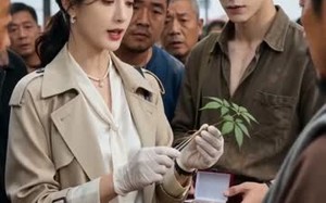 龙谷寻药（56集）短剧夸克网盘免费看完整剧集