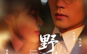 野芳菲（60集）短剧夸克网盘超清流畅随心看