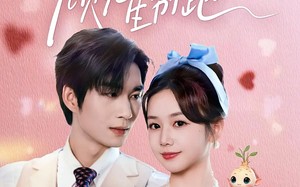 天降人参顾先生别跑（60集）短剧夸克网盘在线免费看精彩