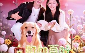 向阳知夏时（80集）短剧夸克网盘高清全集在线赏