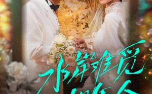 水岸难觅旧年人（68集）短剧夸克网盘在线免费看大结局