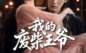我的废柴王爷（31集）短剧夸克网盘免费畅享全集看