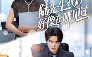 陆先生我们好像在哪见过（70集）短剧夸克网盘高清流畅在线看