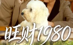 旺财1980（83集）短剧夸克网盘全集高清视频免费看