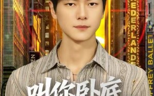 叫你卧底，没叫你关心大嫂（80集）短剧夸克网盘完整版畅看