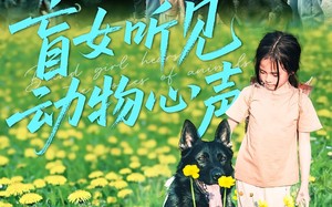 盲女听见动物心声（61集）短剧夸克网盘高清全集免费看