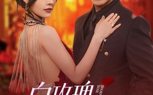 白玫瑰进阶手册（64集）短剧夸克网盘高清完整版随时看