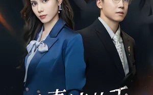 前妻请放手，我已经辞职了（30集）短剧夸克网盘免费看完整剧集