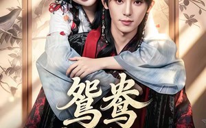 鸳鸯戏君心（60集）短剧夸克网盘全集免费在线看