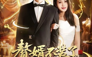 赘婿不装了，我是渡劫仙尊（74集）短剧夸克网盘免费在线看全集