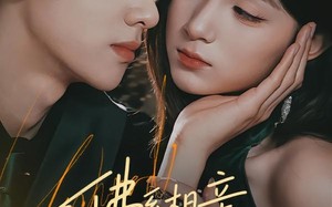 佛系相亲，遇上较真搭档（91集）短剧夸克网盘全集免费观看