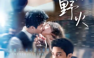 夏吻野火（80集）短剧夸克网盘免费看完整剧情