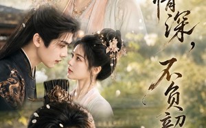 一履情深，不负韶华（85集）短剧夸克网盘在线免费追全集