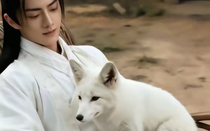 万事孤陵，唯我长生（60集）短剧夸克网盘免费看完整版