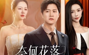 奈何花落爱凋零（71集）短剧夸克网盘独家资源抢先看