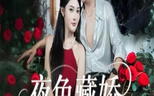 夜色藏娇（65集）短剧夸克网盘全集免费看不停