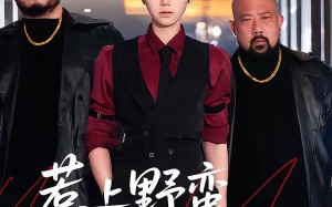 惹上野蛮大小姐（100集）短剧夸克网盘在线看超爽