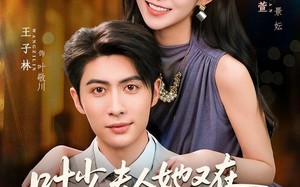 叶少，夫人她又在恃美行凶（72集）短剧夸克网盘高清免费看全集