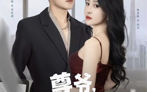 尊爷你的律政娇妻不好惹（81集）短剧夸克网盘全集精彩剧情不容错过