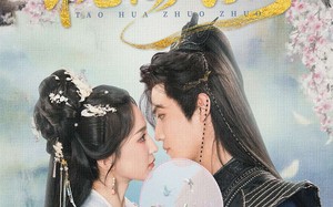 桃花灼灼（70集）短剧夸克网盘高清画质沉浸式体验
