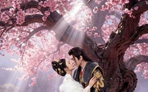 误把女娇娥，错认同袍臣（28集）短剧夸克网盘全集高清免费看