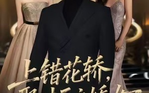 上错花轿，娶对天之娇女（66集）短剧夸克网盘高清全集在线畅看