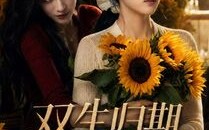 双生归期，旧爱难留（77集）短剧夸克网盘高清全集速看