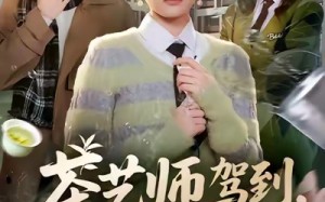 茶艺师驾到白莲统统闪开（65集）短剧夸克网盘高清在线畅快看