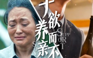 子欲养而亲不待（42集）短剧夸克网盘高清流畅在线观看