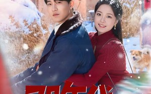 70年代，我穿越成凤凰男（67集）短剧夸克网盘全集在线畅快看