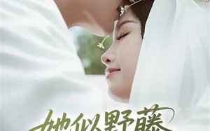 她似野藤，缠绕而上（51集）短剧夸克网盘在线免费看完整版