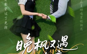 晚枫又遇江南意（60集）短剧夸克网盘全集一次性看完