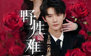 野性难驯（62集）短剧夸克网盘全集免费在线观看