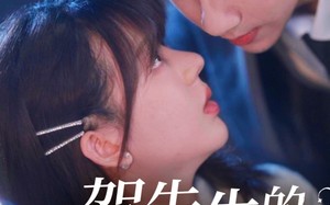 贺先生的隐婚蜜爱（81集）短剧夸克网盘独家资源抢先看