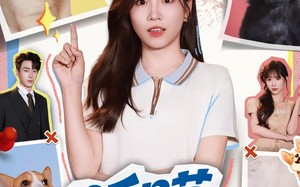 听喵一声劝（60集）短剧夸克网盘全集免费在线观看