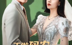不做码农后红玫瑰她后悔了（60集）短剧夸克网盘无广告纯净观看