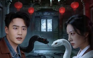 蛇宅惊魂（40集）短剧夸克网盘免费看完整剧情