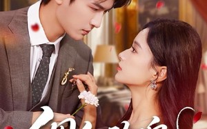 绸红玫瑰（86集）短剧夸克网盘完整版免费畅看