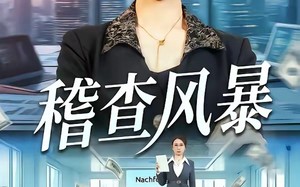 稽查风暴（79集）短剧夸克网盘完整版在线看