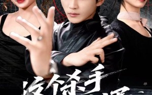 这个杀手是赘婿（81集）短剧夸克网盘精彩剧情免费看