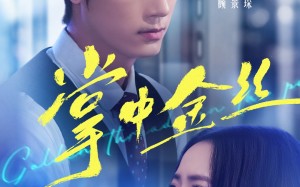 长姐她竟是隐藏大佬（60集）短剧夸克网盘全集畅快在线看