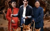 金狐奇缘(42集)短剧夸克网盘高清视频免费览 金狐奇缘(42集)短剧夸克网盘高清视频免费览