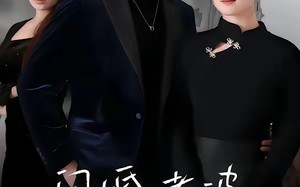 闪婚老婆竟是国画女王（65集）短剧夸克网盘免费看全集无删减