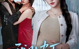 我肚皮下的阴谋（75集）短剧夸克网盘高清全集速看